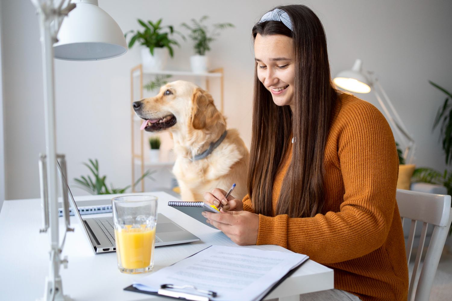 Conseils sur le choix et l’entretien des animaux de compagnie