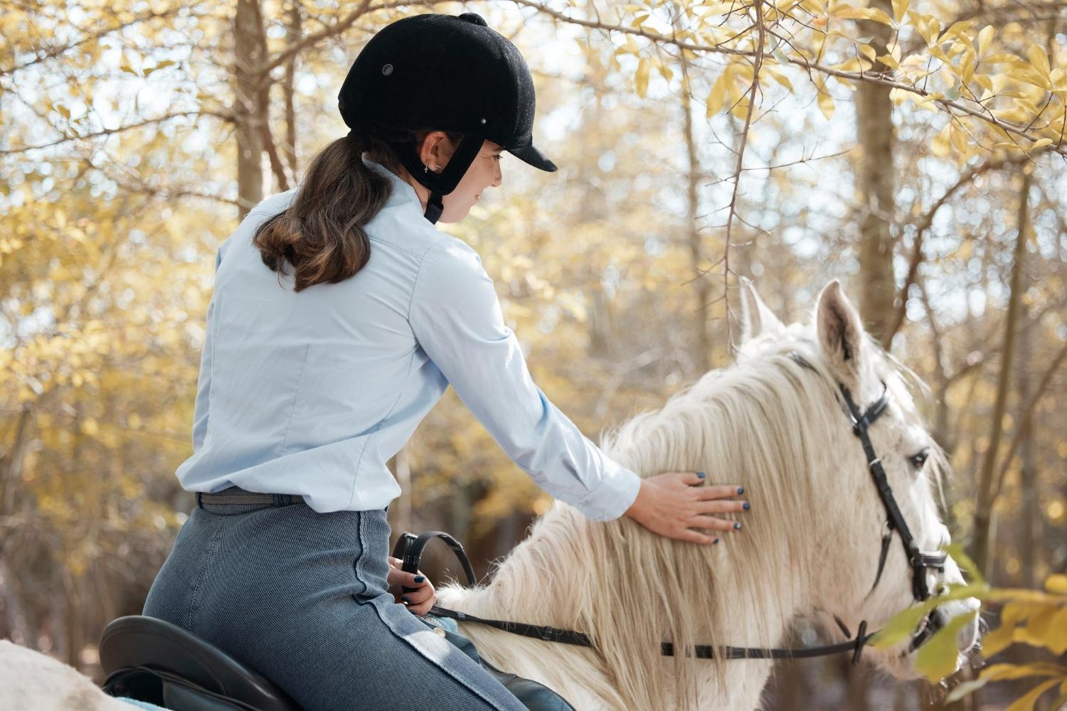 Services d’équitation et de location par Scalerautez